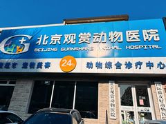 -北京观赏动物医院·24小时大型综合·猫专科·异宠专科