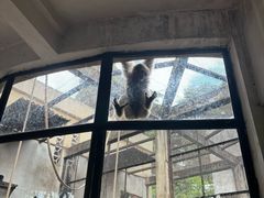 -昆明动物园