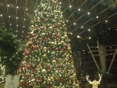 -苏州金鸡湖中茵皇冠假日酒店