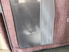 -哆趣宠物医院·眼科·内镜·急重症转诊中心(上海店)