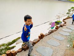-东平国家森林公园