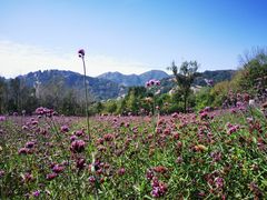 -嵖岈山风景区