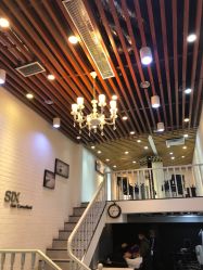 -SIX Hair Consultant