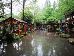 -青城甲(青城山店)