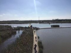 -盐城丹顶鹤湿地生态旅游区