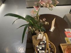 -施奈儿.洗头頭療.按摩SPA.采耳(上梅林店)