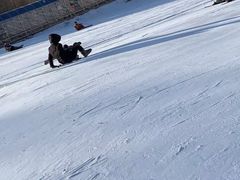 -亚布力新体委滑雪场