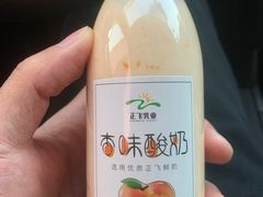 -正飞鲜奶(公园北街店)