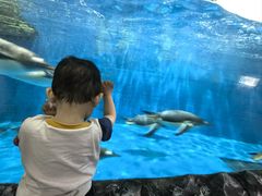 -华夏文旅海洋公园