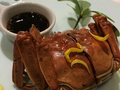 -西郊5号·Maggie 5