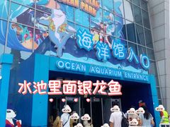 -西安曲江海洋极地公园