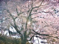 -姑奶奶老厨房(南坪路总店)