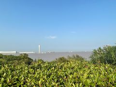 -上海吴淞炮台湾国家湿地公园