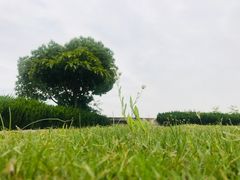 -上海佘山世茂艾美酒店