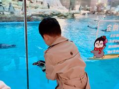 -帝企鹅自助餐厅•儿童岛•真企鹅(长隆企鹅酒店)