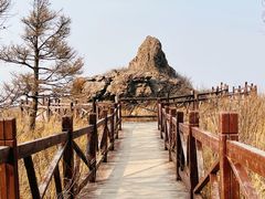 -北京鹫峰国家森林公园