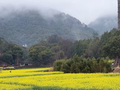 -天台小吃(新城店)