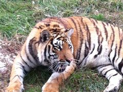 -西安秦岭野生动物园