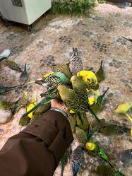 -酷嗒动物文化乐园(cutezoo西溪乐天城店)