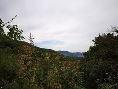 -北京西山国家森林公园