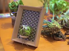 -Rabbit Cafe私房西餐甜点咖啡(栖霞路店)