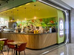 -油梨树AVOCADO TREE(望京店)