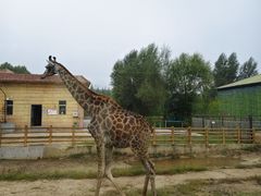 -鄂尔多斯野生动物园