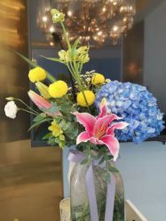 -YESIDO椰岛造型烫发染发