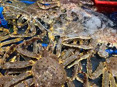 -79号渔船海鲜饭店(华强北店)