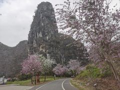 -钟山水墨田园