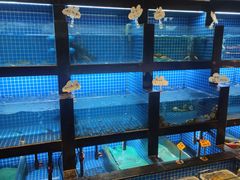 -徽三说·土徽菜·中国徽菜连锁品牌(一中店)