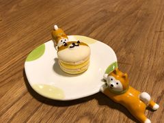 柴犬造型马卡龙-柴务处·柴犬主题狗咖