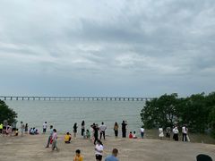 -宝安西湾红树林湿地公园