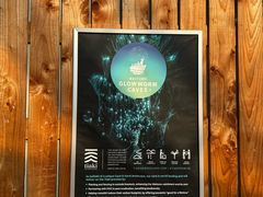 -怀托摩萤火虫洞