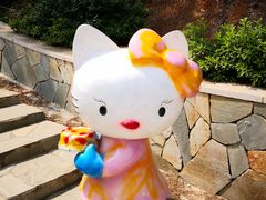 -大塘金香草谷