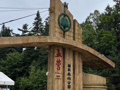 -五营国家森林公园