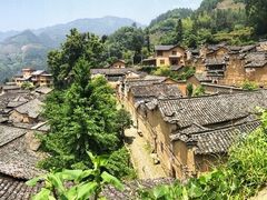 -杨家堂村
