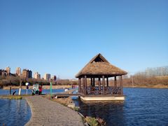 -前关湿地公园