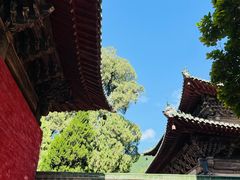 -报恩寺(平武县)