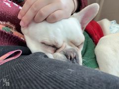 -怪兽屋·羊驼·猫咖·狗咖(俊华广场店)