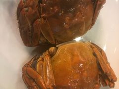 -赤甲皇(仙霞路店)
