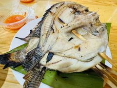 -杨合林啊兰烤鱼