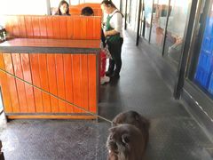 -京北渔家傲