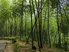 -乌石村