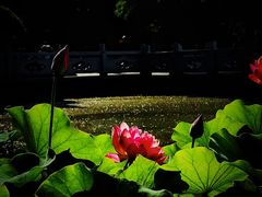 -清晏园