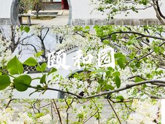 -颐和园