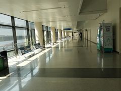 -首都医科大学附属北京天坛医院