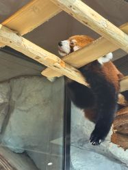 -Zoolung Zoolung动物主题公园(海信广场店)