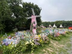 -白马涧龙池景区