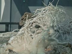 -房山世界地质公园博物馆
